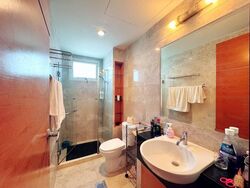 Thomson Vale (D11), Apartment #468917981